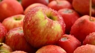 Con pocos ingredientes y aprovechando que las manzanas bajaron de precio: la receta de torta de manzana sin harina ni azúcar