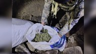 Huánuco: incautan 220 kilos de marihuana en el distrito de Pinra