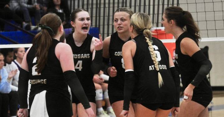 SPORTS ROUNDUP: Lady Cougars fall in finals of regional All "A"