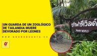 Un guarda de un zoológico de Tailandia muere devorado por leones