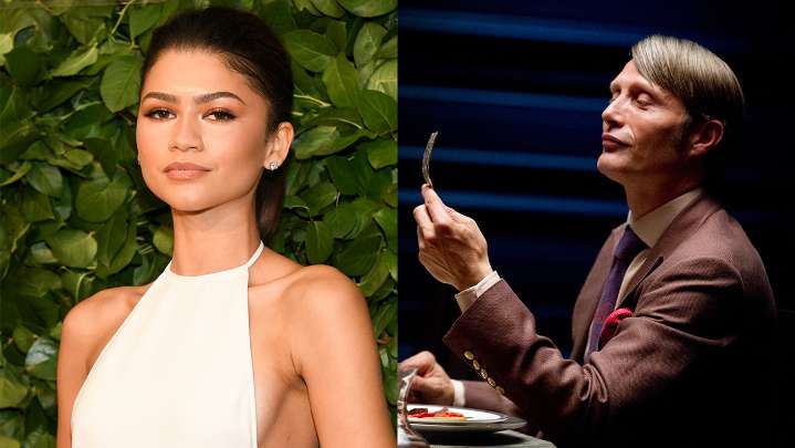 Hannibal Creator Wants Zendaya to Star in Silence of the Lambs Series