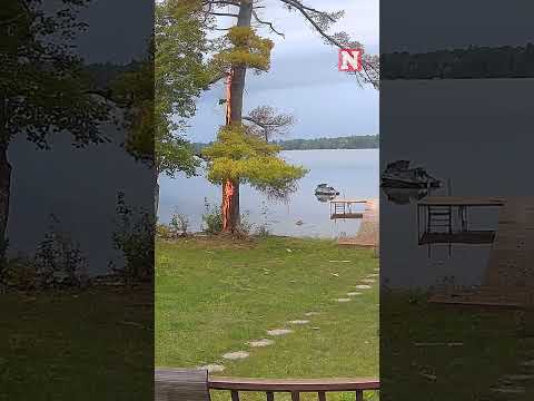 Dramatic Moment Lightning Hits Tree and Ignites Fire In Wisconsin