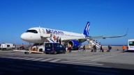 This European Airline Has Now Lost Cats In Transport Twice In 2 Years