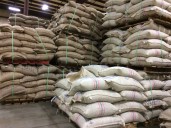 Fire breaks out in Paul deLima Coffee roasting facility in Cicero overnight