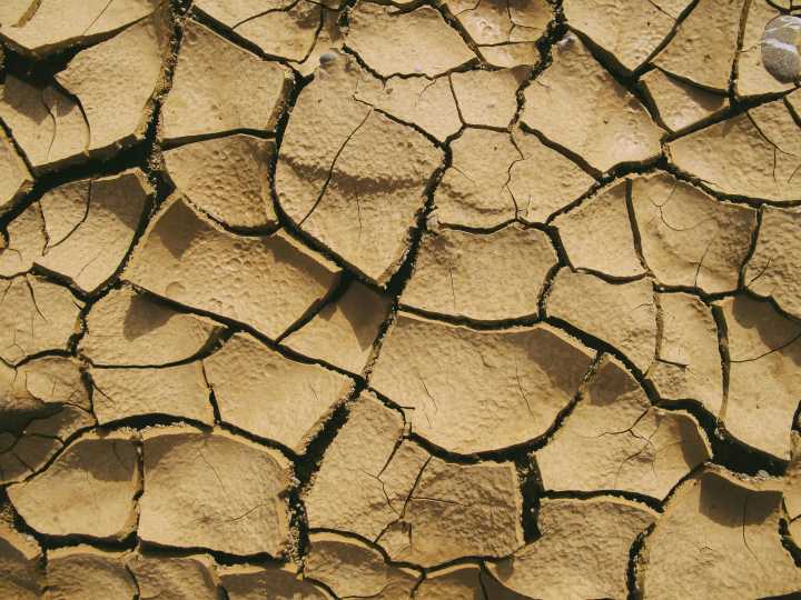 ¿Libertad de decisión? La realidad de la migración climática