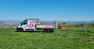 AD FEATURE: Bristol Dog Field gives your furry friend the paw