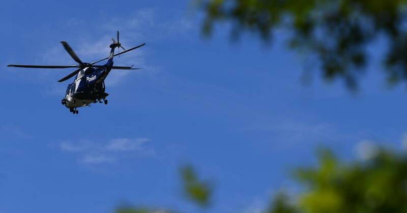 Search for pilot after plane crashes in wilderness area