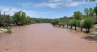 Fuertes lluvias cobran vida de 2 personas en Sonora, confirma Protección Civil