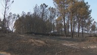 O vento aviva o lume entre Ourense e Zamora e obriga a confinar a poboación de Castromil
