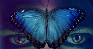 Mariposa azul cobalto: el salto de Lilian Yaffe de la academia a la ficción