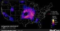 Radar maps track real-time bird migration at night
