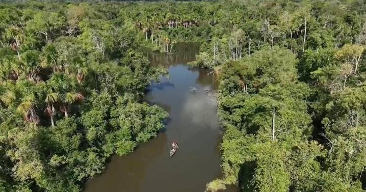 As Amazon's 'flying rivers' weaken with tree loss, scientists warn of worsening droughts