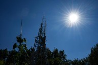 The world’s tallest sunflower blooms in an Indiana backyard as a tribute to Ukraine