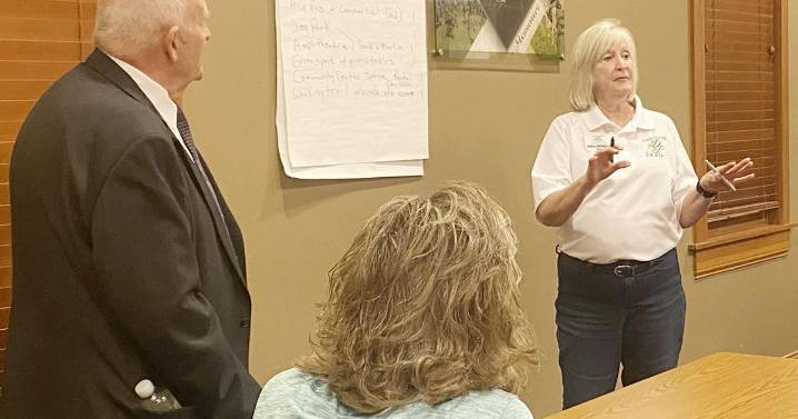 Dardenne Prairie owns 10-acre field. Here's what residents want and don't want built on it.