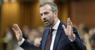 CP NewsAlert: Canada Post set to reduce frequency of letter mail delivery: minister