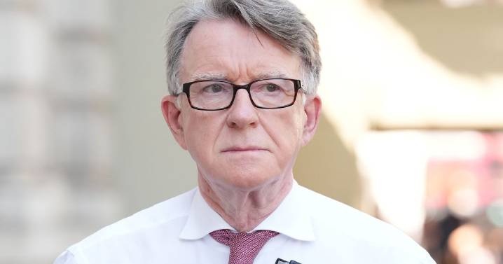 Jeffrey Epstein's 'best pal' Lord Mandelson says he might have been murdered in jail