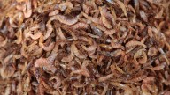 Trump tariffs skewer India's shrimp exports : NPR