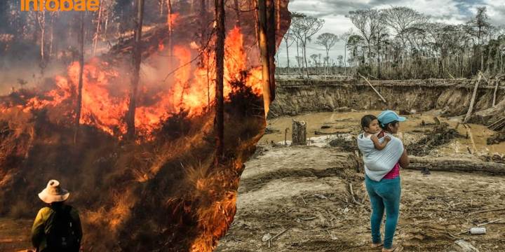 Latinoamérica lidera el ranking de deforestación de selva tropical en el mundo: el alarmante puesto que ocupa Perú