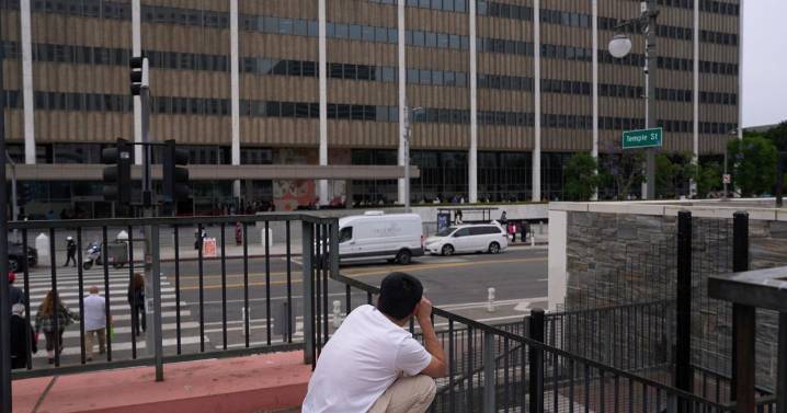 Acusan a tres activistas de revelar información personal de agente del ICE en Los Ángeles