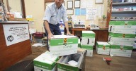 States move to protect vaccines in the face of attempts to remove mandates
