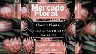 El mercado de flores y plantas en la plaza Alta no podrá inaugurarse este sábado