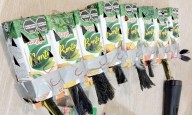Intentan ingresar 50 crías de aves ocultas en cajas de jugo