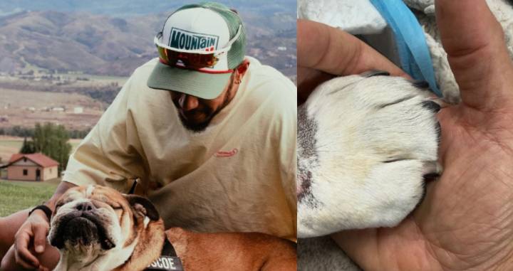 Lewis Hamilton despide a Roscoe, su fiel bulldog, tras su muerte