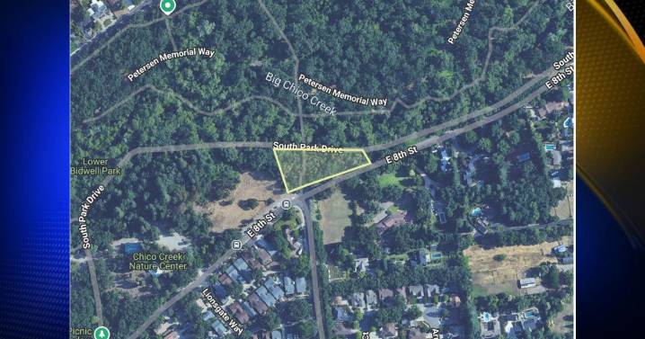 Crews to remove non-native Eucalyptus trees from Bidwell Park next week