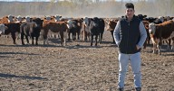 Cómo hizo este productor de Río Negro para lograr 2.200 kilos de carne por hectárea a campo