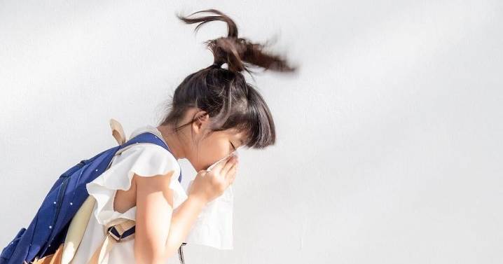 How To Help Your Back-To-School Kid With Their Allergies