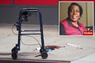 Teen fugitive busted in NYC  shooting that killed innocent walker