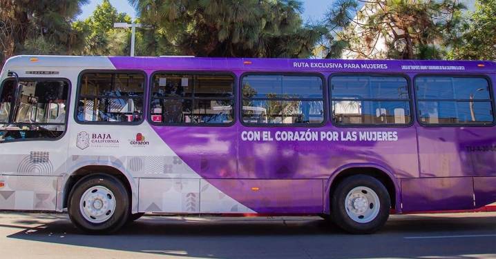 Transporte violeta tendrá rutas a UABC y el Tec. Tomás Aquino