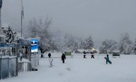 Alertan por la "nevada de los loros" que afecta a Bariloche