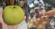 I Tried Mary Berry's Secret To The Best Stewed Apples
