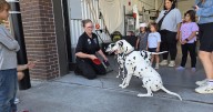 Hundreds celebrate Fire Prevention Block Party