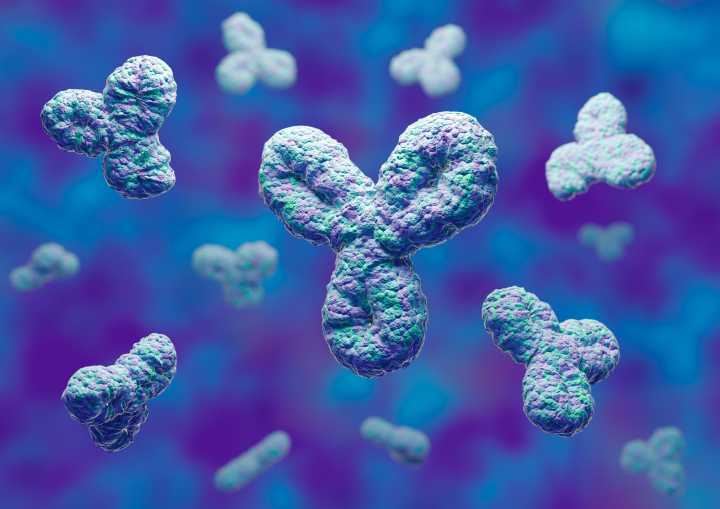 New Biomarkers in ME/CFS Could Guide Targeted Treatments