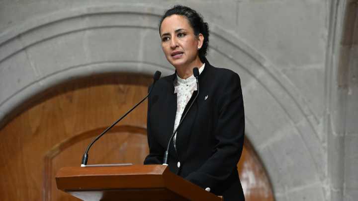 Perfil especializado para mecanismo de búsqueda de personas y feminicidios: GPPT