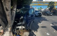 Estrellan camioneta en árbol de Salvador Nava