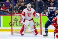 Make-or-break season upcoming for Red Wings goalie prospect