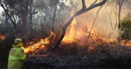 NSW plans hazard reduction burn near Seahampton