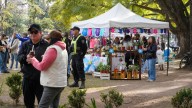 Crisis y rebusque: más de 300 emprendedores se sumaron este año a las ferias de Rosario