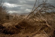 Creating art after surviving a disaster