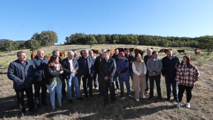 El Gobierno abonará antes de finales de año las ayudas a los ganaderos afectados por los incendios