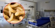 Mueren 3  adultas mayores tuvieron gusano barrenador; presentaban enfermedades crónicas