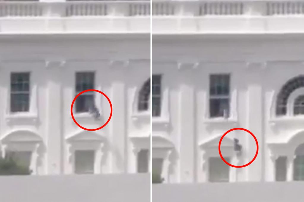 Viral video shows mysterious objects being tossed from White House window
