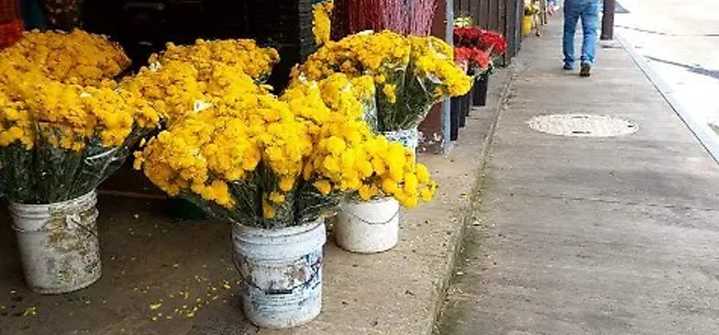 Anzoátegui| Accidente dejó a dos personas heridas mientras llevaban pedidos de flores amarillas