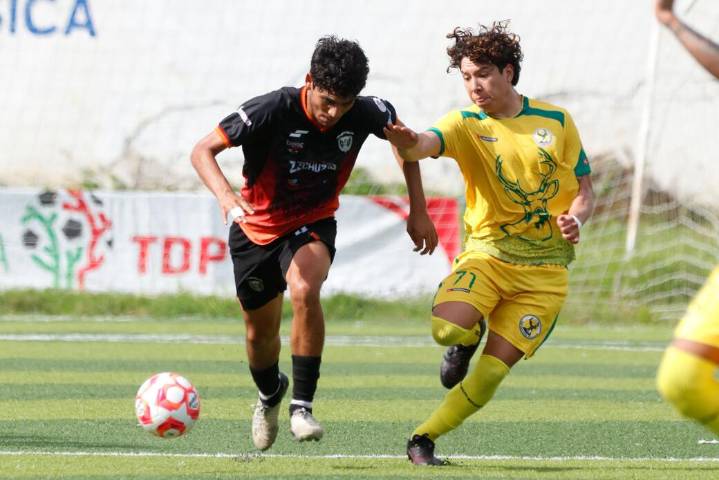 Lechuzas y Venados firman empate