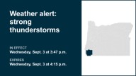 Update: Thunderstorms with pea-sized hail in Eastern Curry County and Josephine County Wednesday