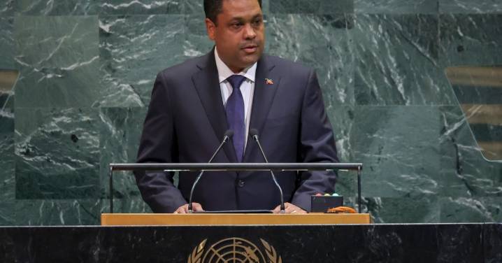 Aplaude Haití resolución de la ONU que establece fuerza para eliminar las bandas armadas