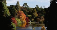Beautiful' National Trust garden with pretty lakes looks 'lovely in autumn